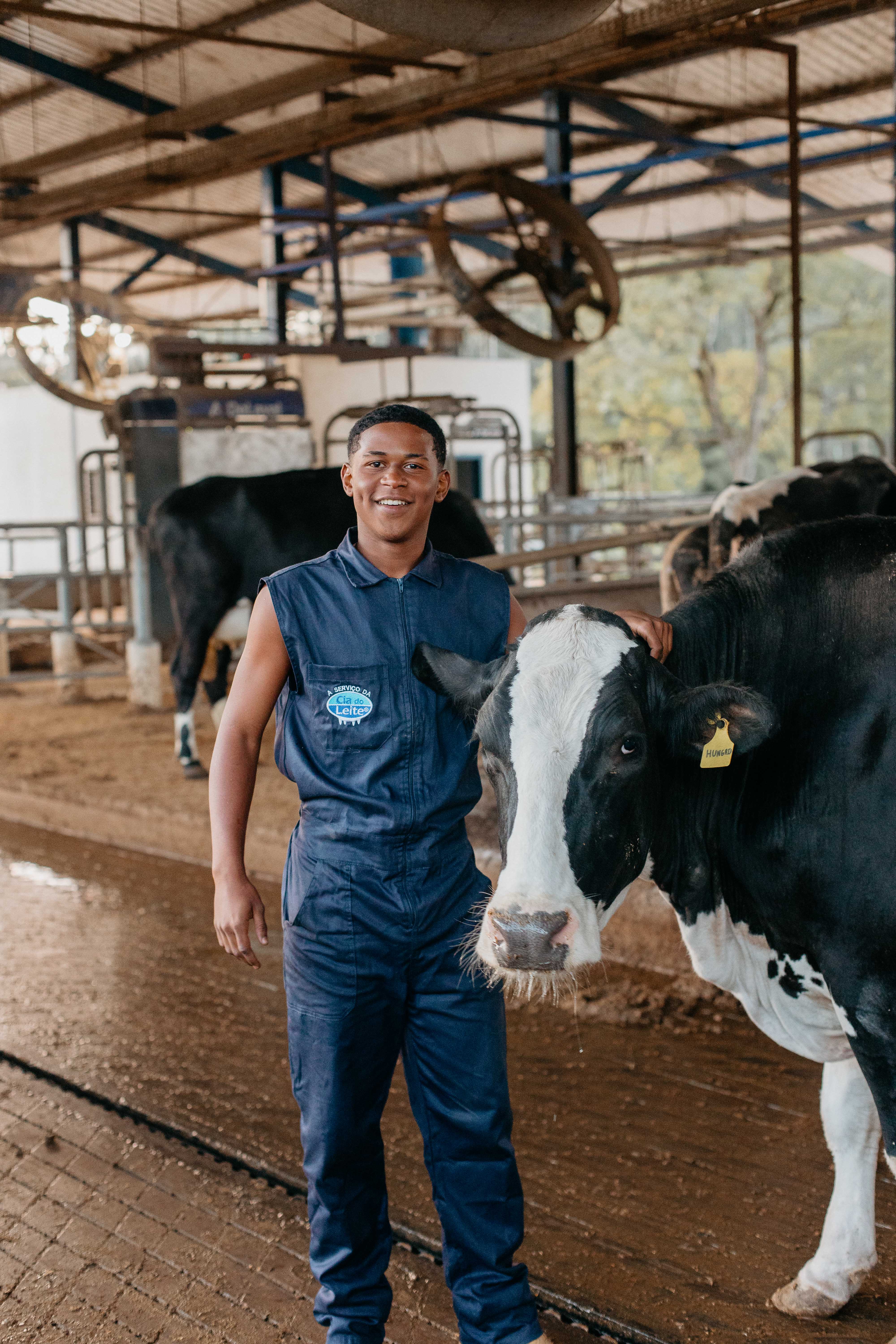 IN77: por que a adequação à regulamentação ainda é um desafio para os laticínios? - Cia do Leite - Transformamos qualidade do leite e produtividade das fazendas