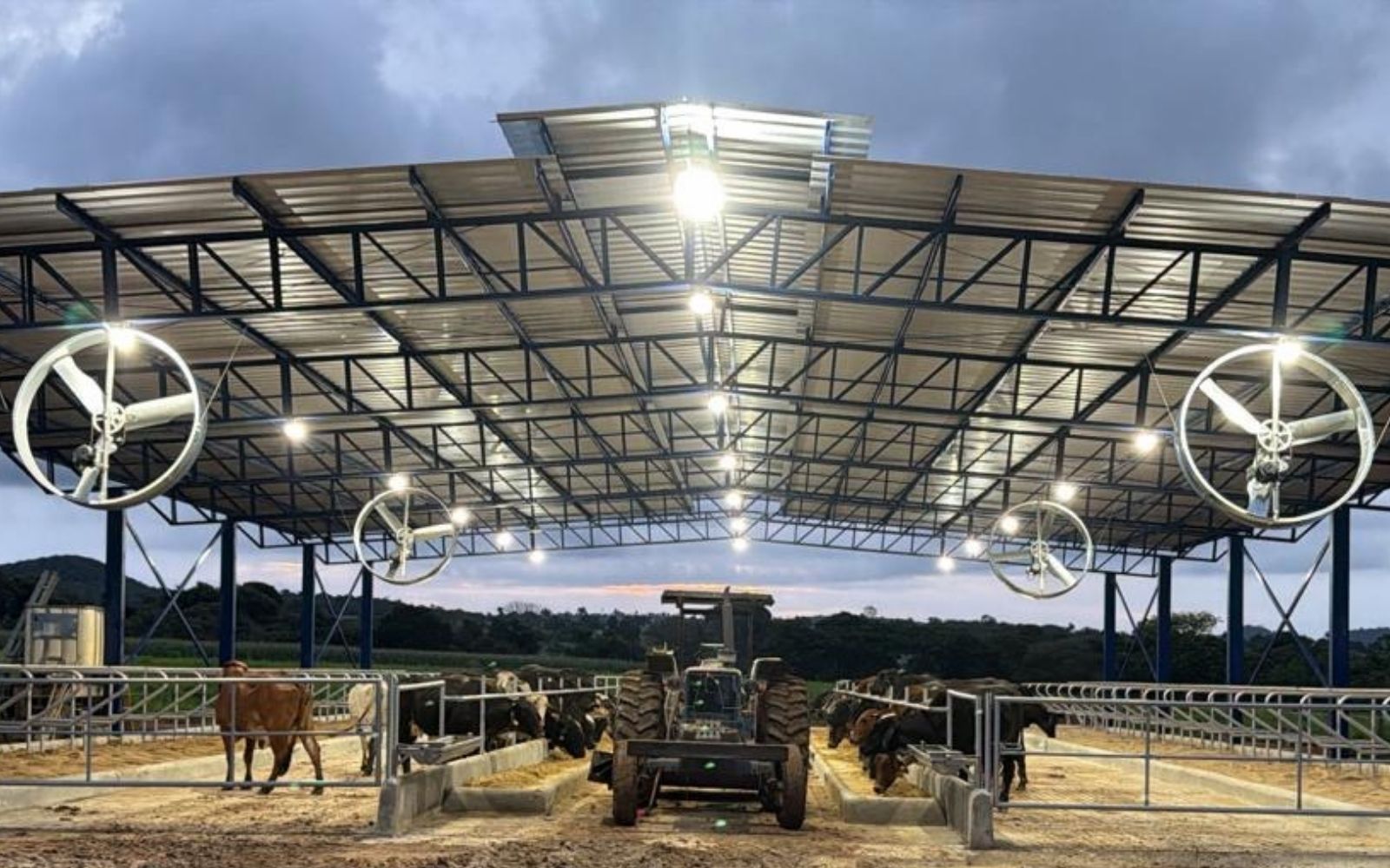 Estresse térmico no confinamento: 4 pilares do bem-estar - Cia do Leite - Transformamos qualidade do leite e produtividade das fazendas